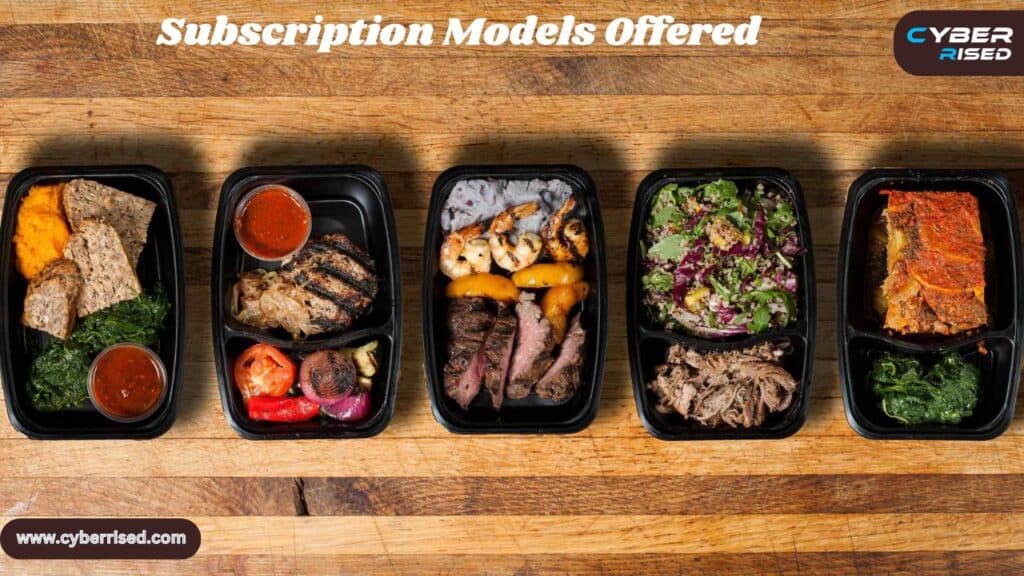 Subscription Models Offered