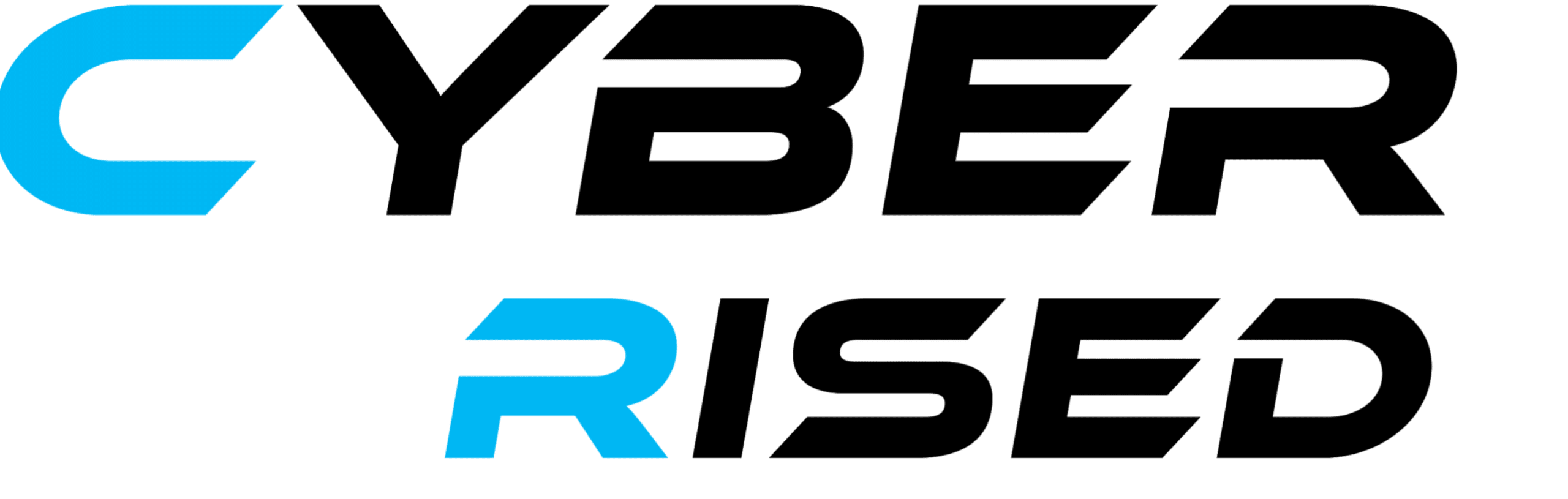 Cyber Rised